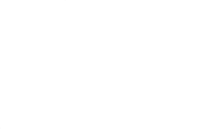 Alt IT